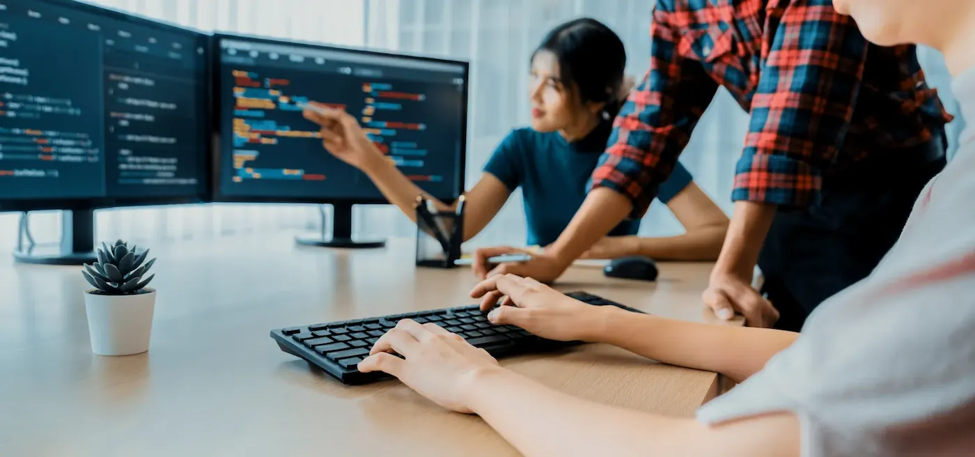 A consultant walking a project team through a software platform on a meeting room screen